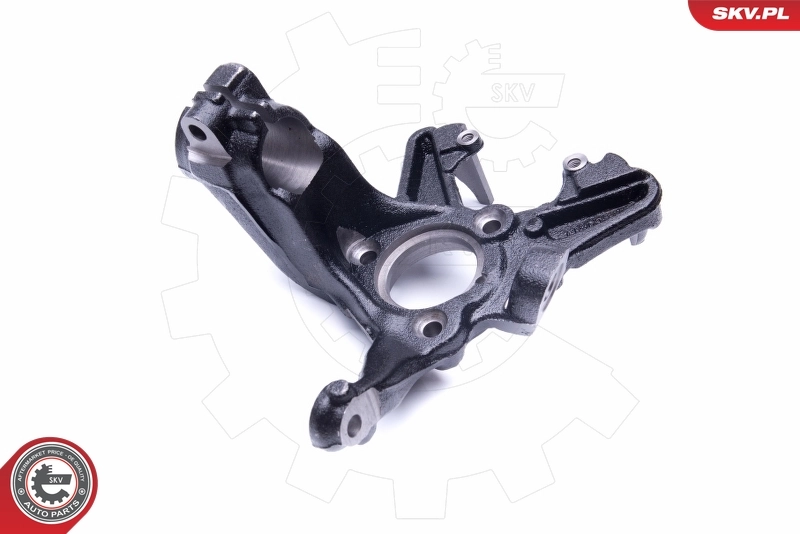Steering Knuckle, wheel suspension